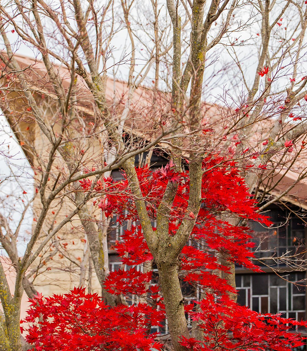 County Line Church Auburn Campus - In person worship at 602 Erie Pass Auburn Indiana